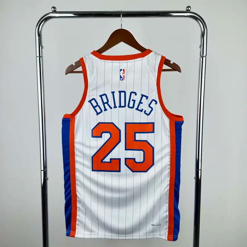 NBA New York Knicks 25#BRIOGES