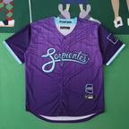 2025 MLB Arizona Diamondbacks